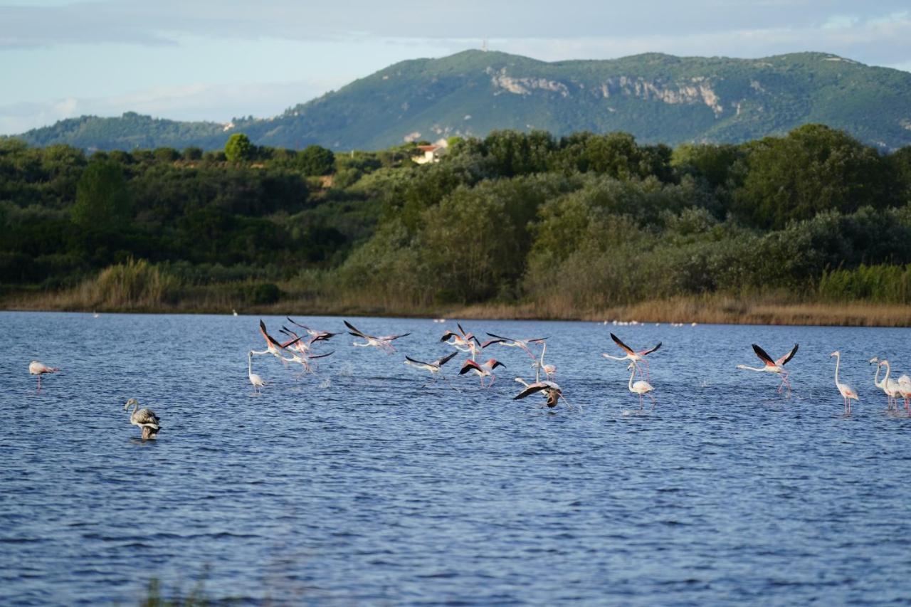 Stefanias Appartments Ágios Matthaíos Bagian luar foto